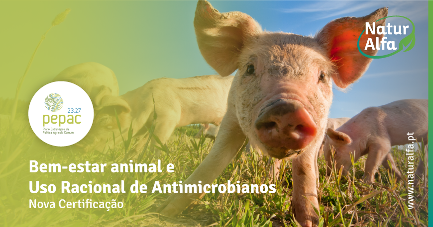 Bem-estar animal e Uso Racional de Antimicrobianos - Naturalfa