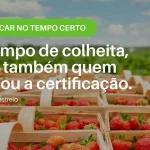 Em tempo de colheita, colhe também quem planeou a certificação